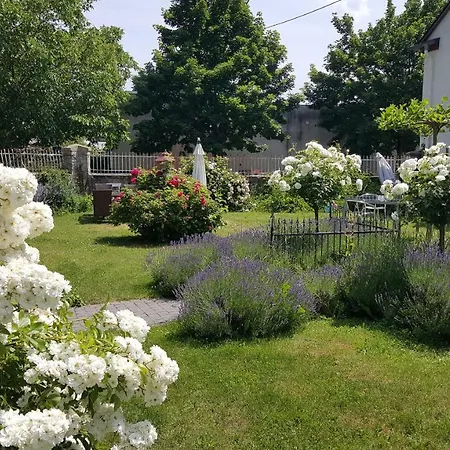 Altes Pfarrhaus Mit Flair Und Moselblick *