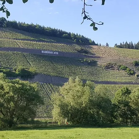 Altes Pfarrhaus Mit Flair Und Moselblick Lägenhet Brauneberg