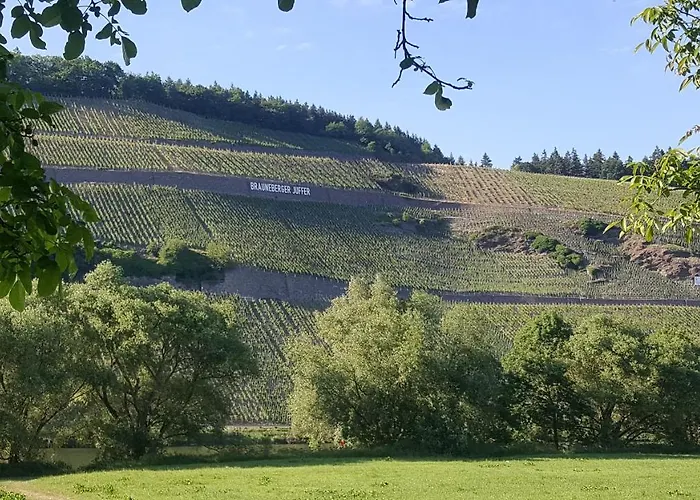 Altes Pfarrhaus Mit Flair Und Jufferblick 아파트 브라운버그